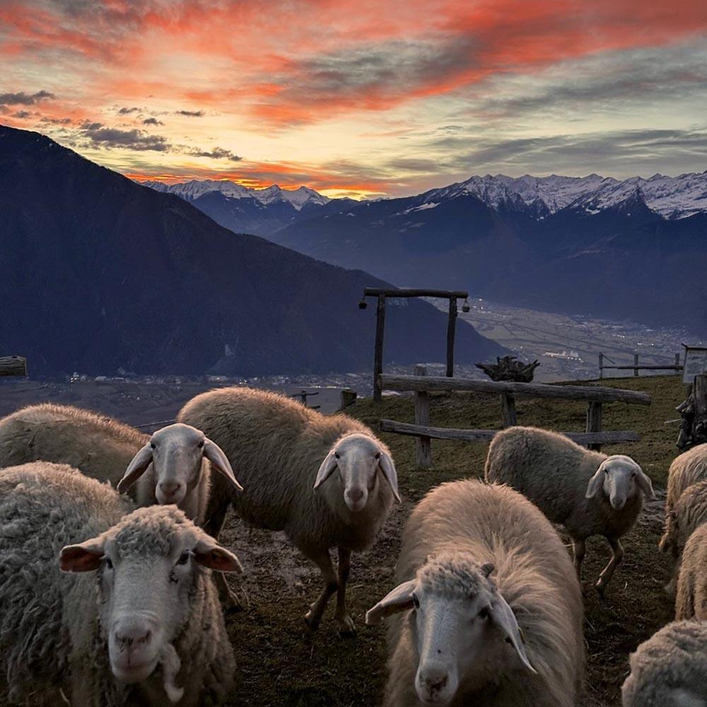 Unterkünfte für Mountainbiker am Comersee